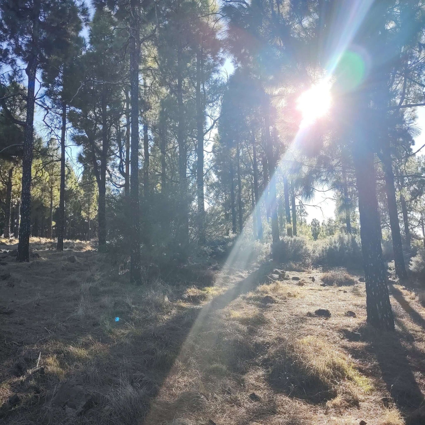 hiking gran canaria el nublo