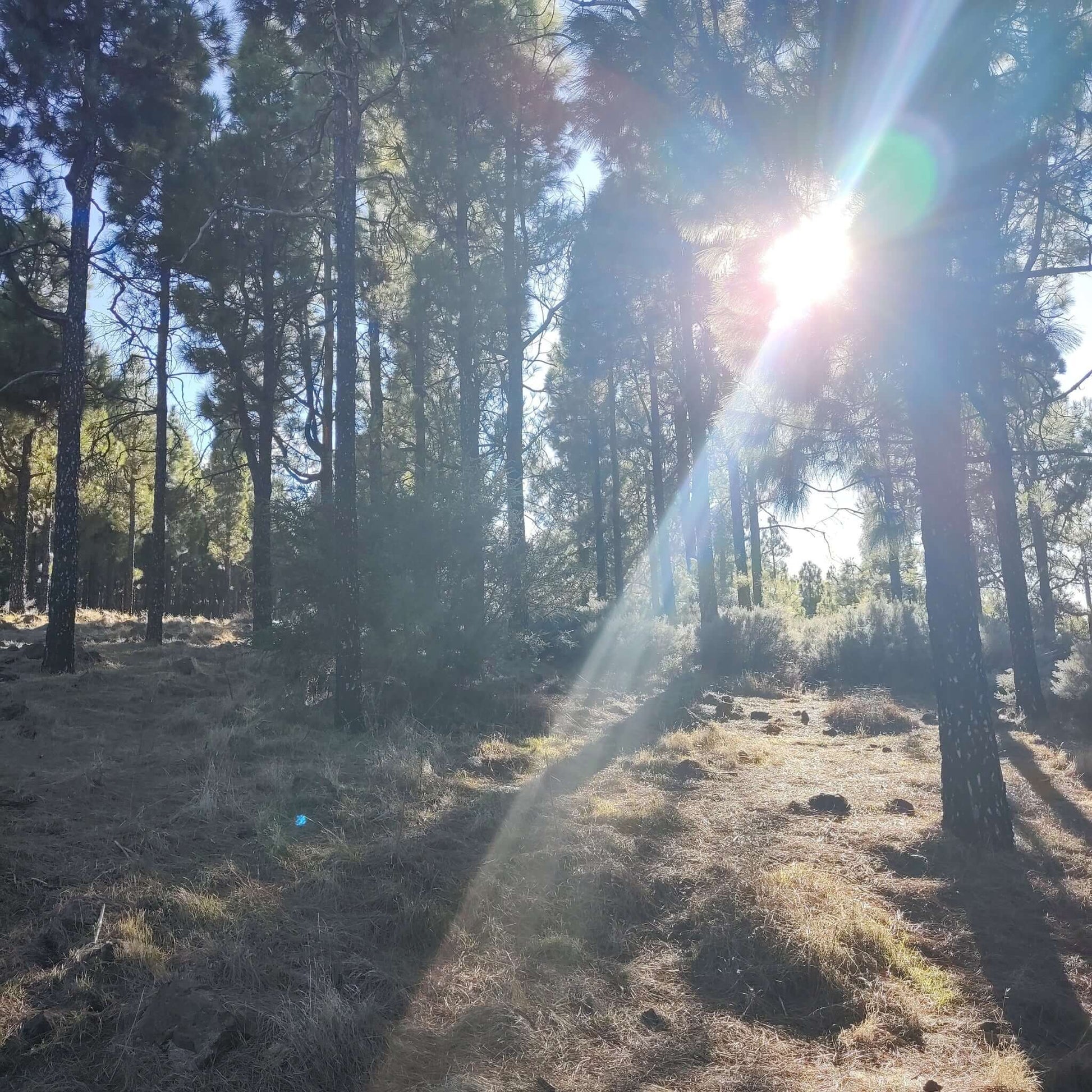 hiking gran canaria el nublo