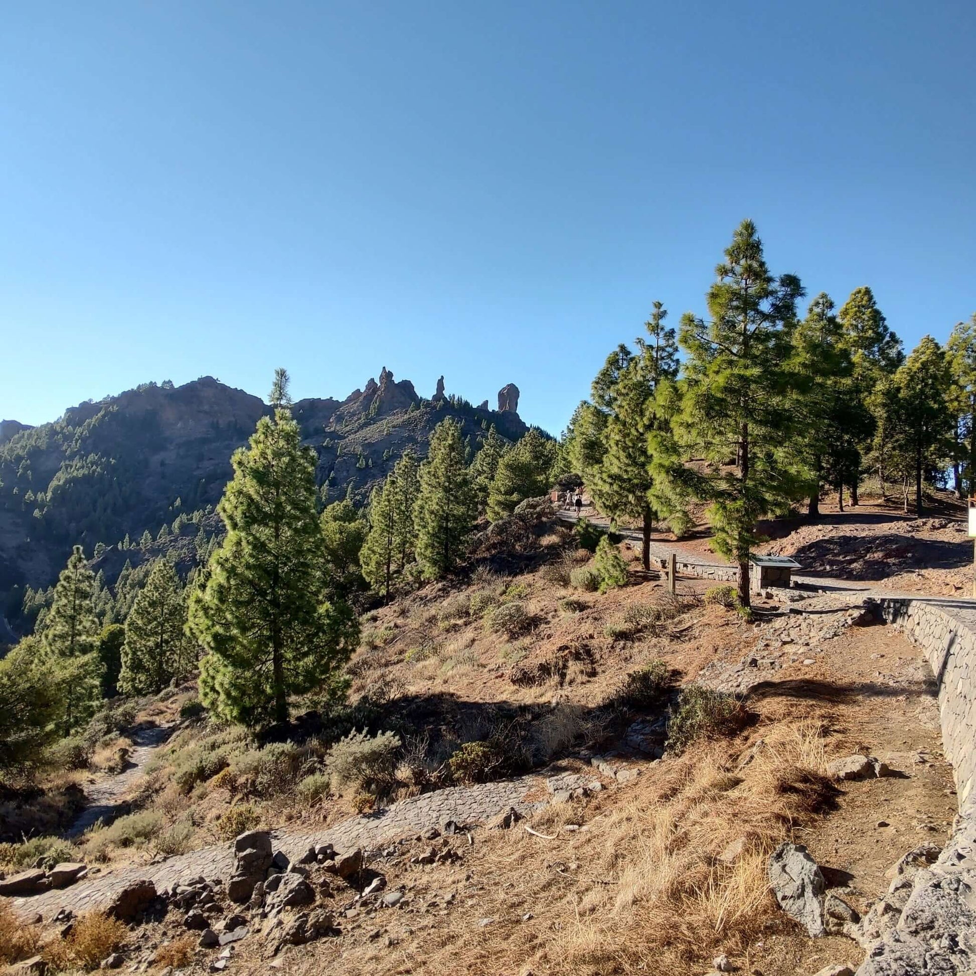 hiking and trekking gran canaria