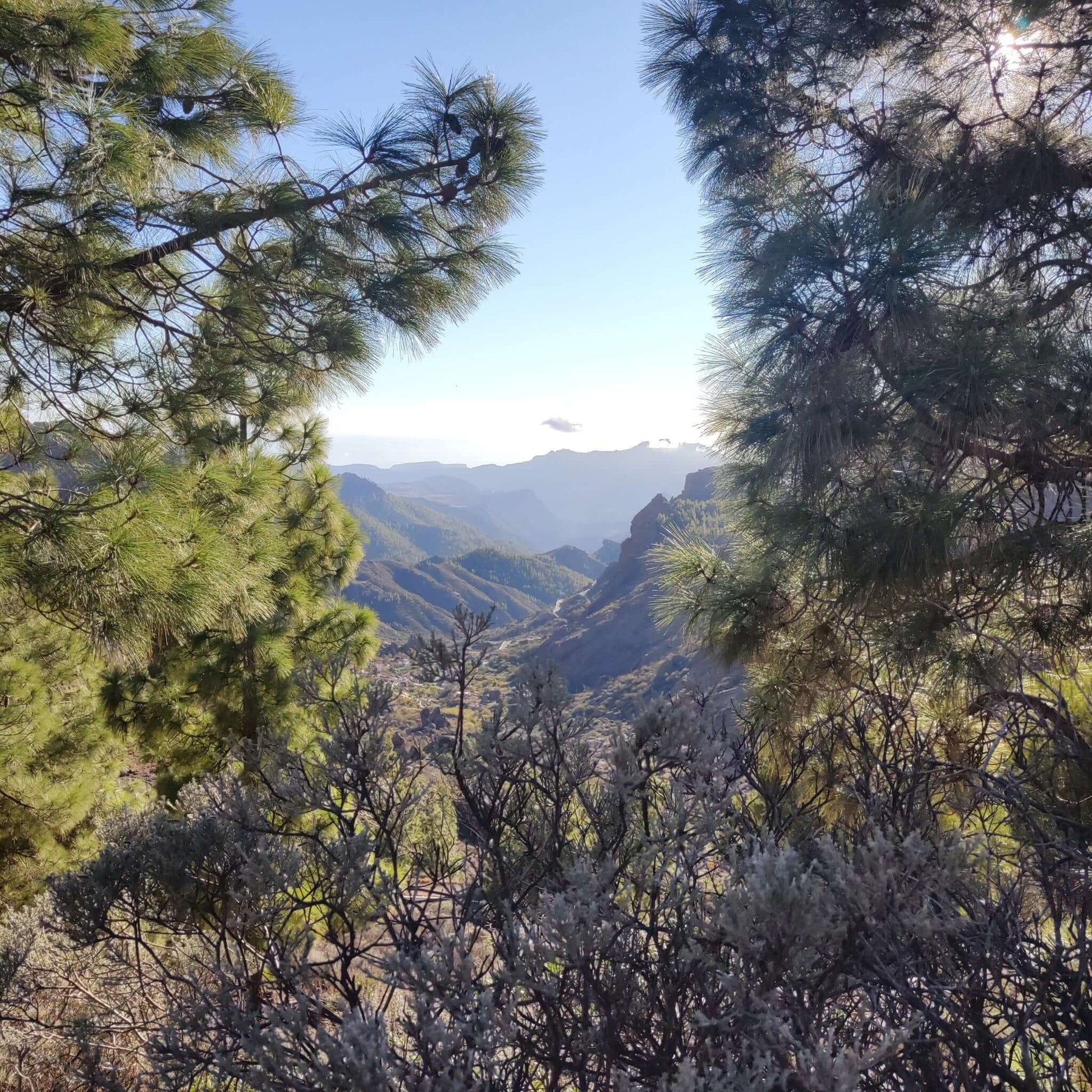 hiking gran canaria easy circuit