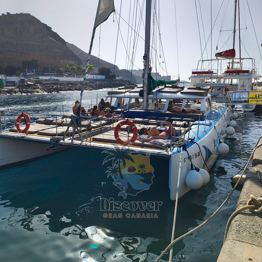 Catamaran tour with 'Discover Gran Canaria' branding docked at a harbor.