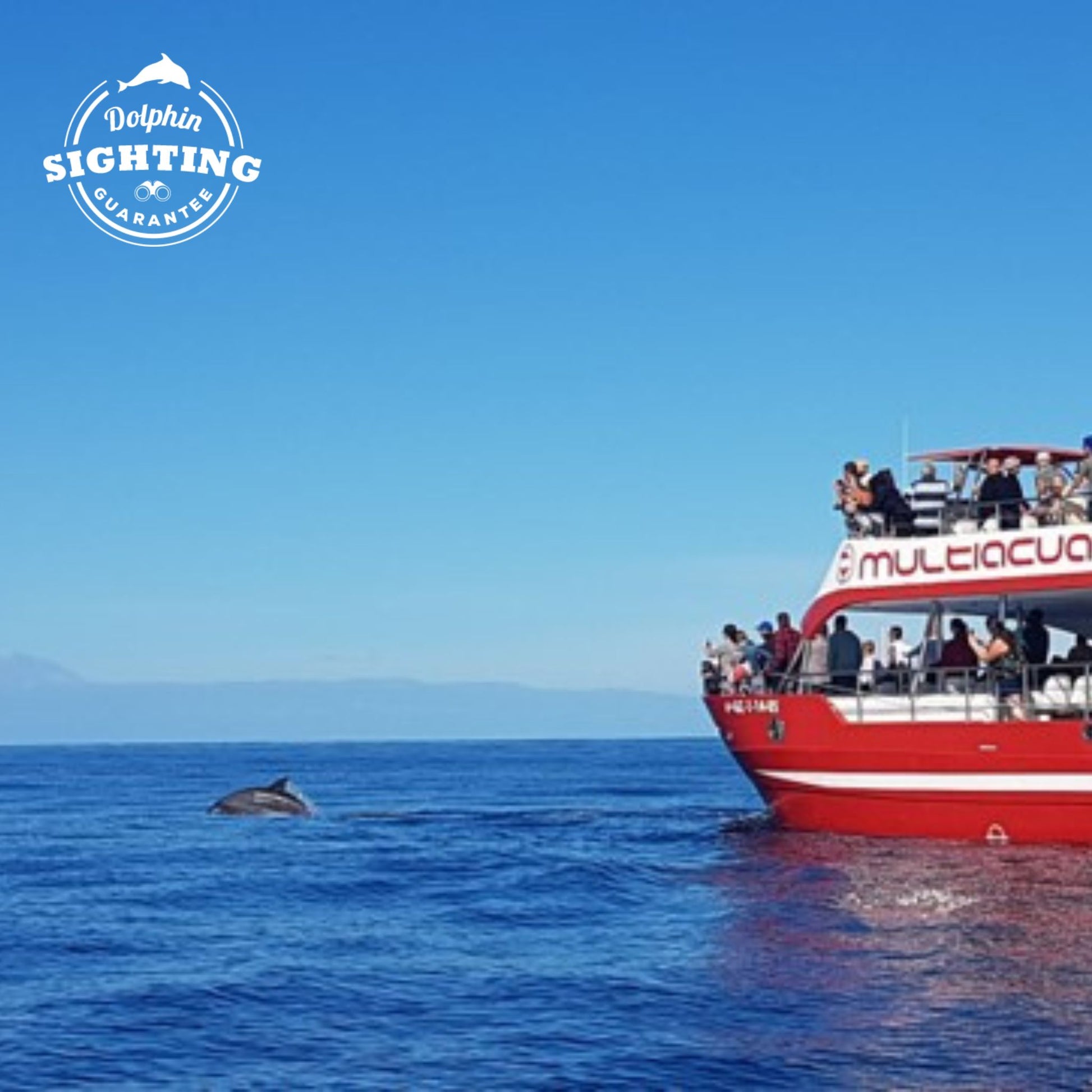 multiacuatic dolphin tour - passengers watching at the dolphins and the island of tenerife at the horizon
