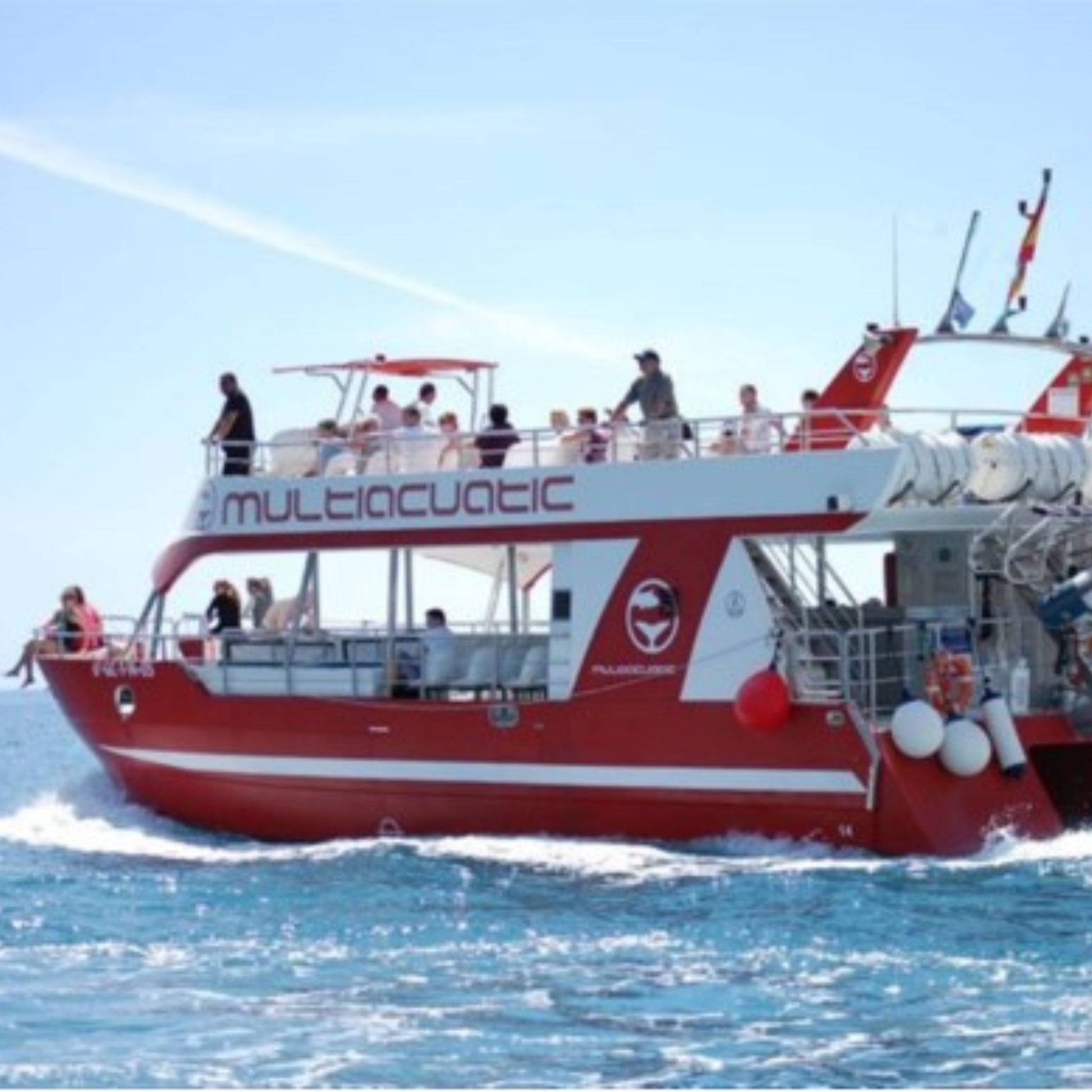 multiacuatic dolphin tour - catamaran sailing in search of the dolphins