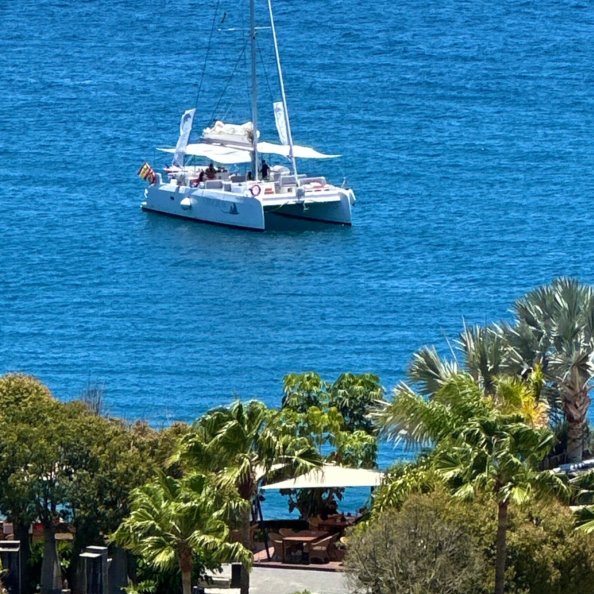 stingray catamaran gran canaria - catamaran entering in anfi del mar marina