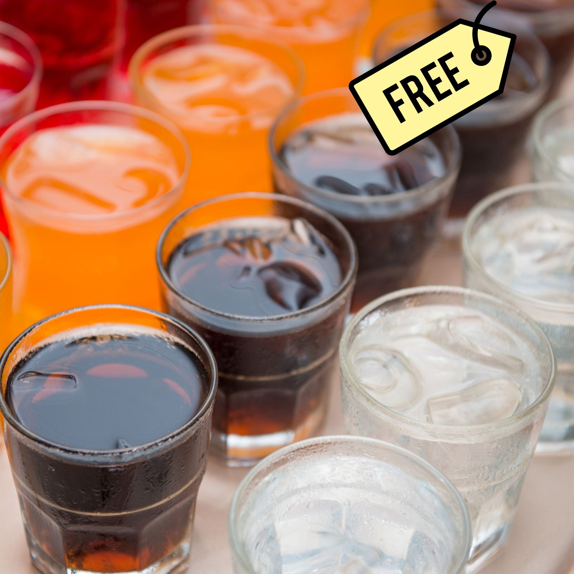 multiacuatic dolphin tour - soft drinks included