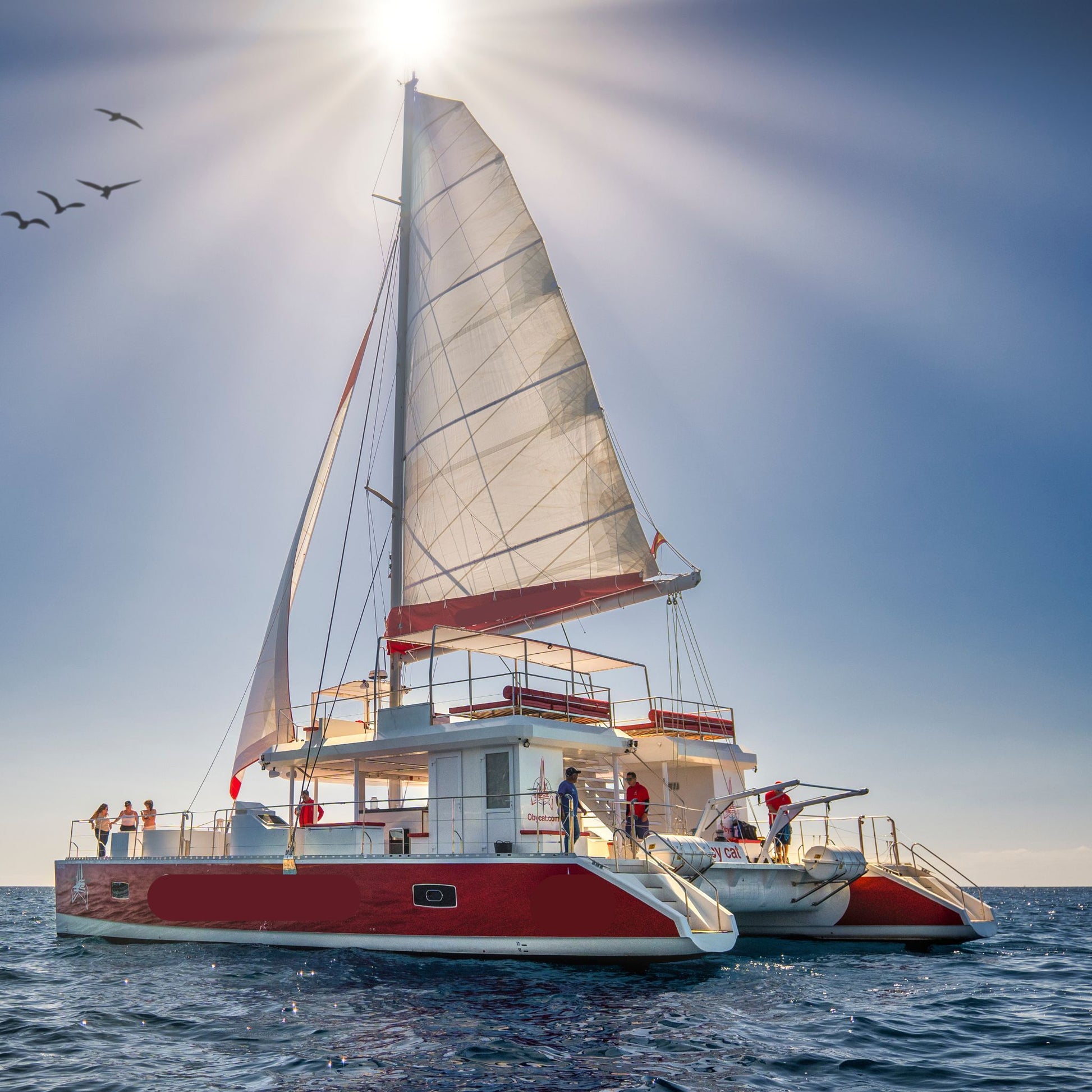 close up image of obycat catamaran gran canaria