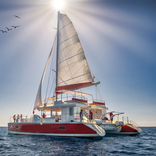 close up image of obycat catamaran gran canaria