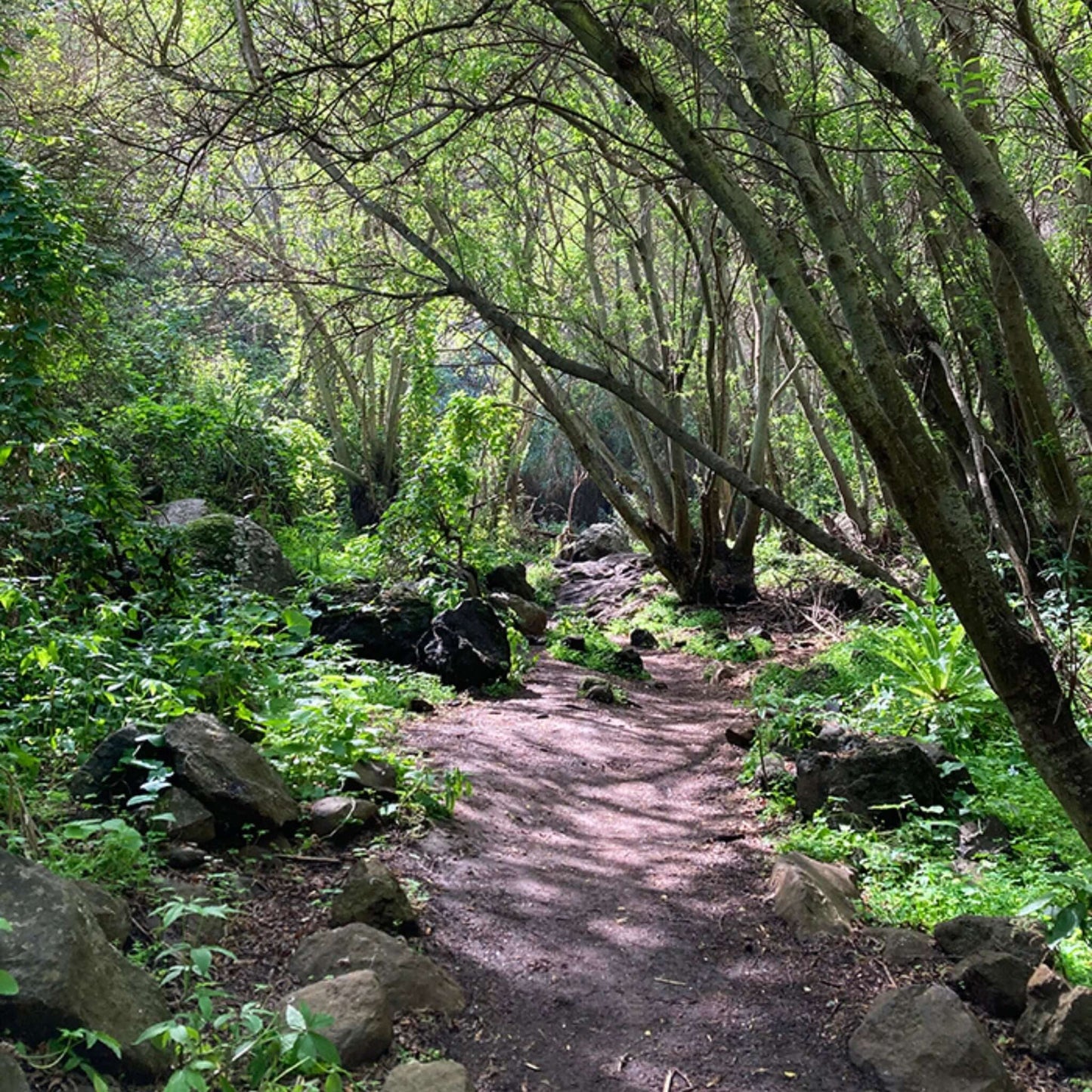 Hiking - Kestrel Canyon Route