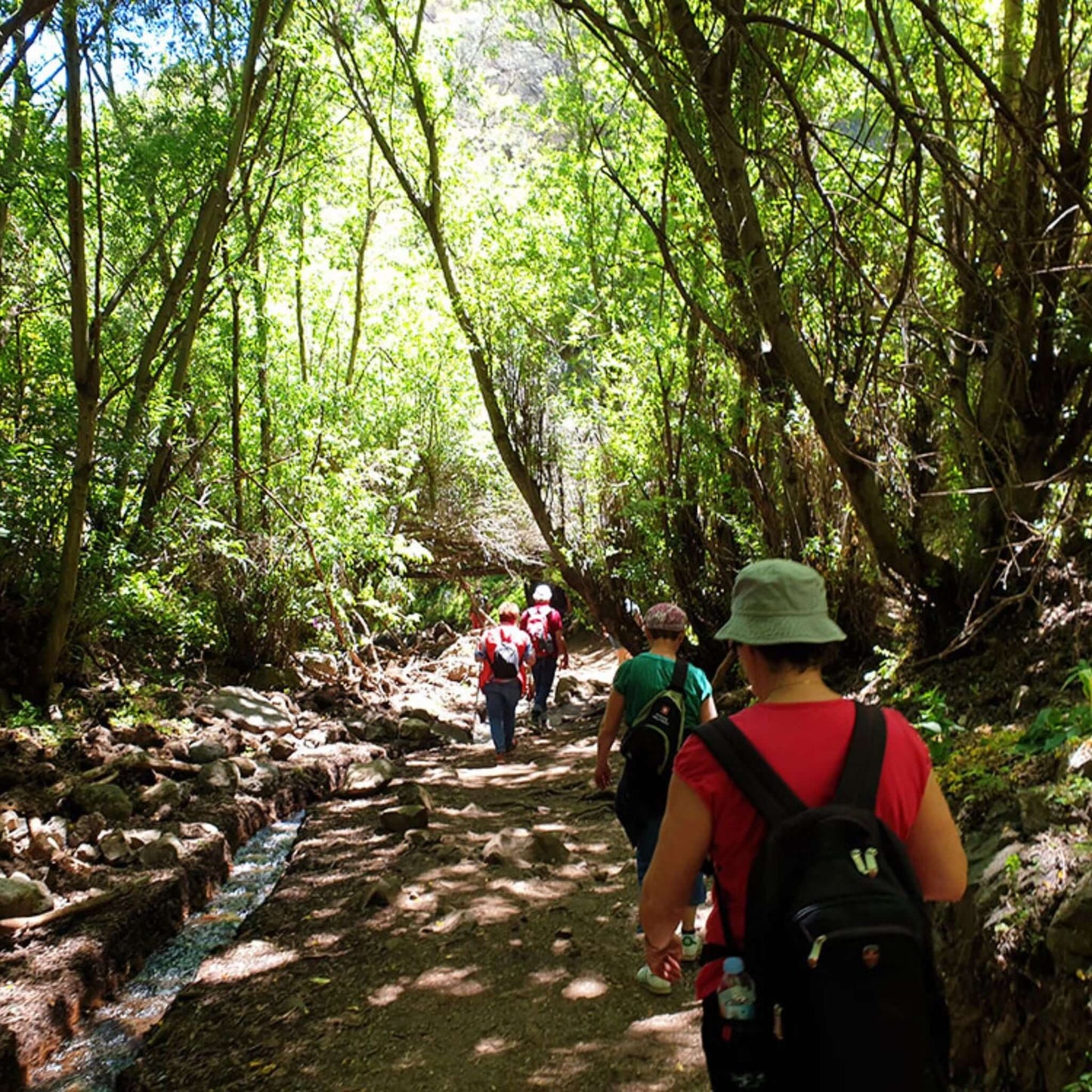 hiking kestrel canyon gran canaria