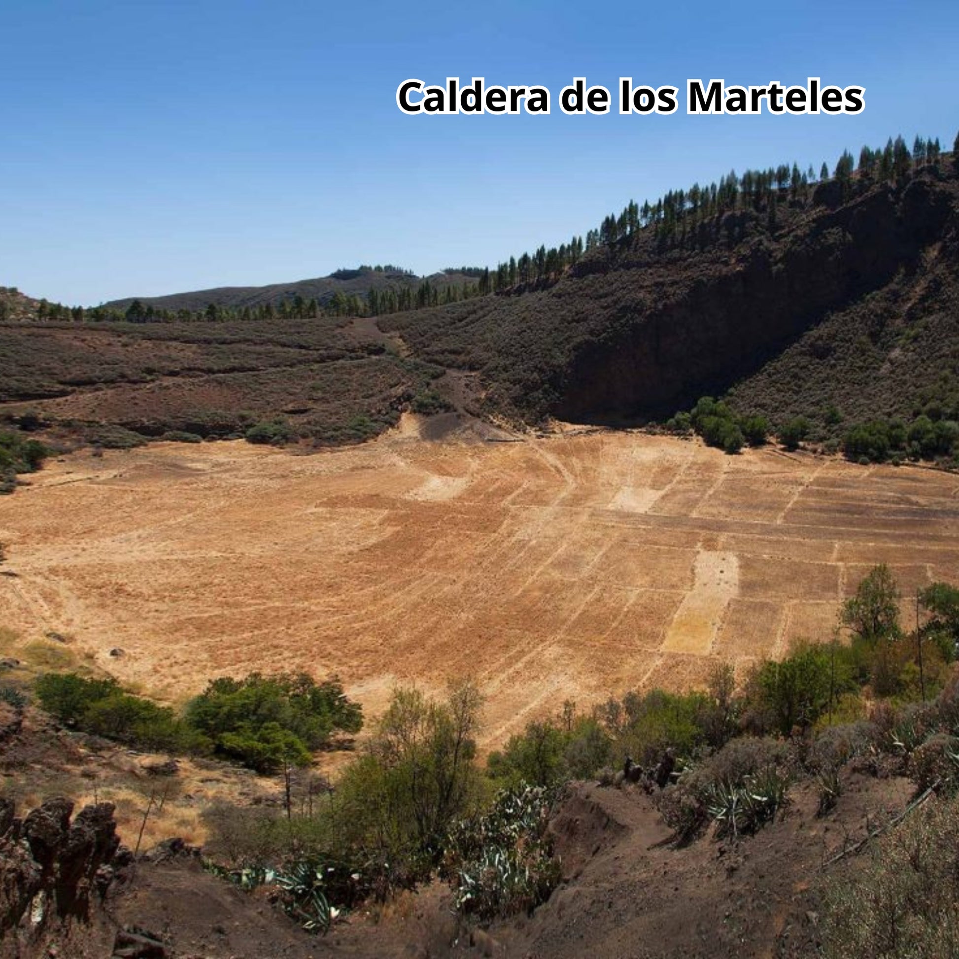 The Caldera de los Marteles - bus tour gran canaria