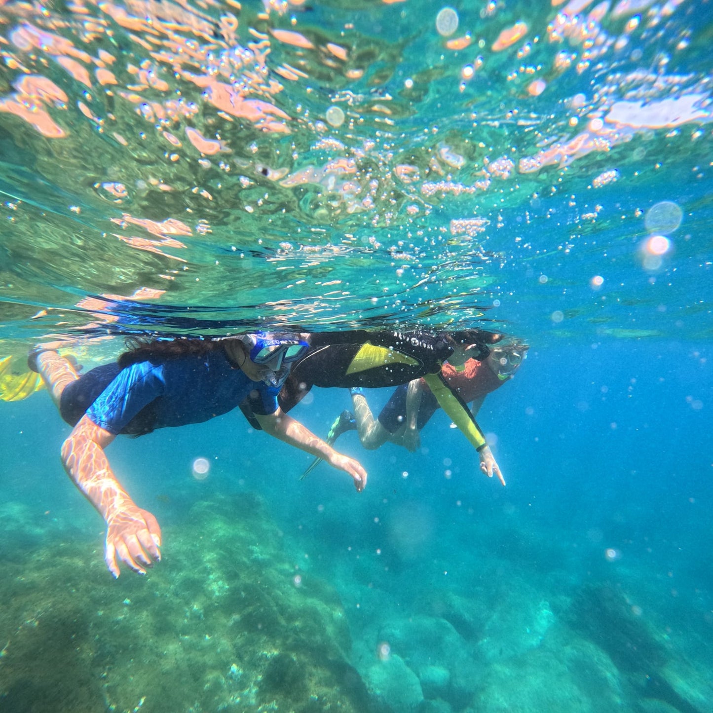 snorkeling experience gran canaria