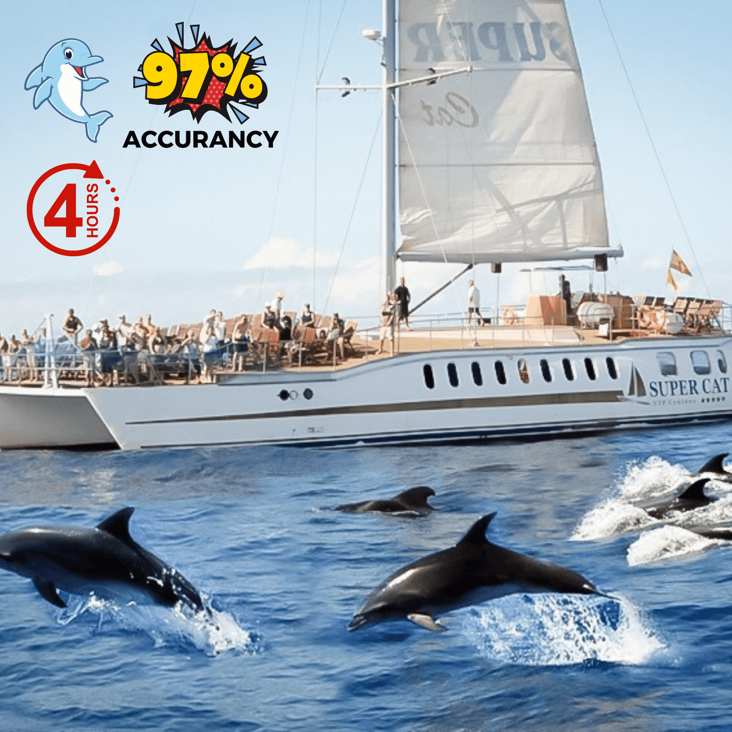 dolphin boat trip and trip gran canaria - supercat catamaran