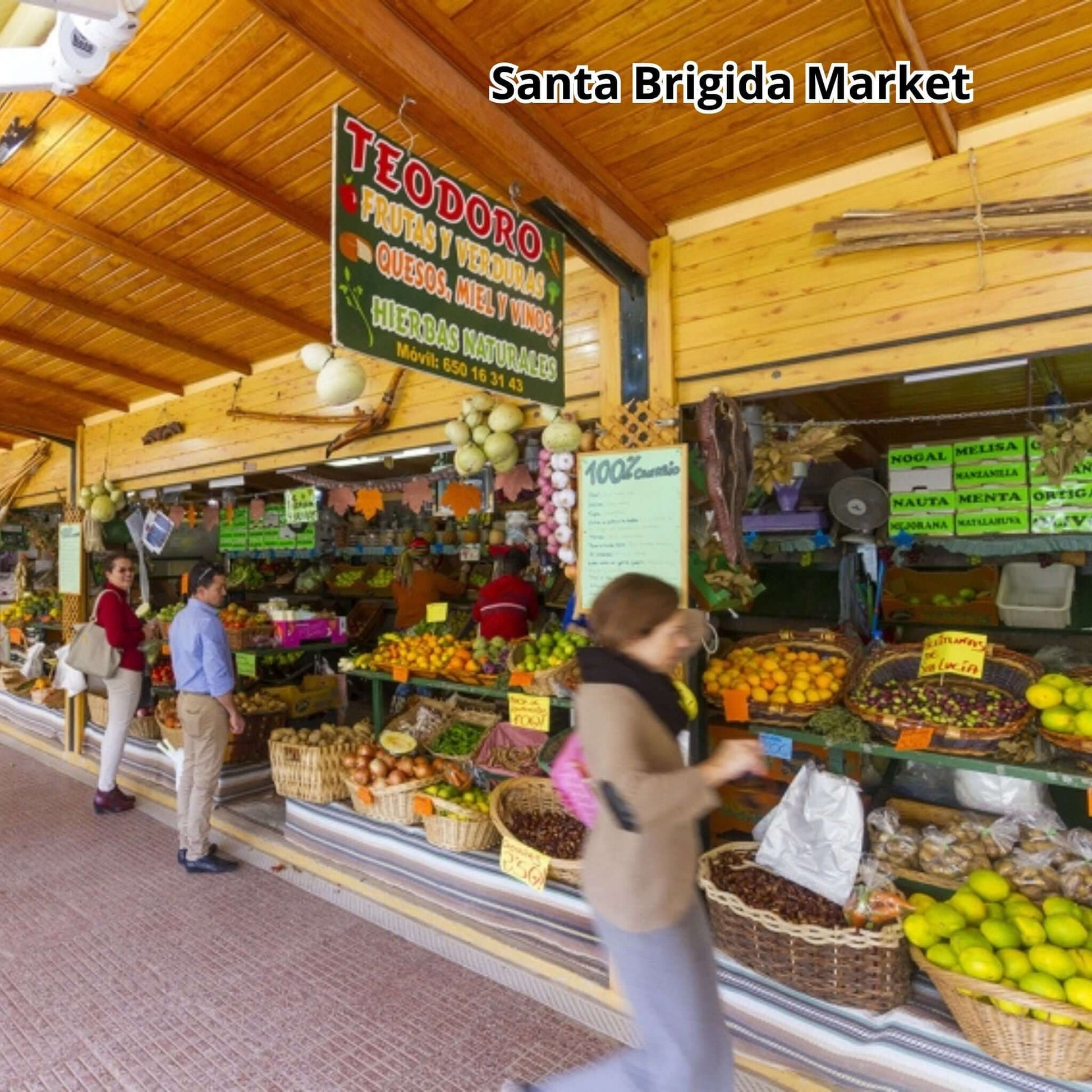 Santa Brigida Market