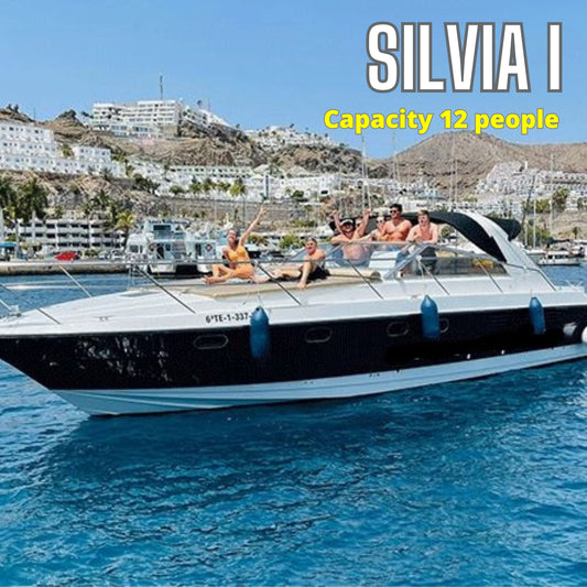 Private Yacht Rental Silvia I (13m - capacity 12 people)