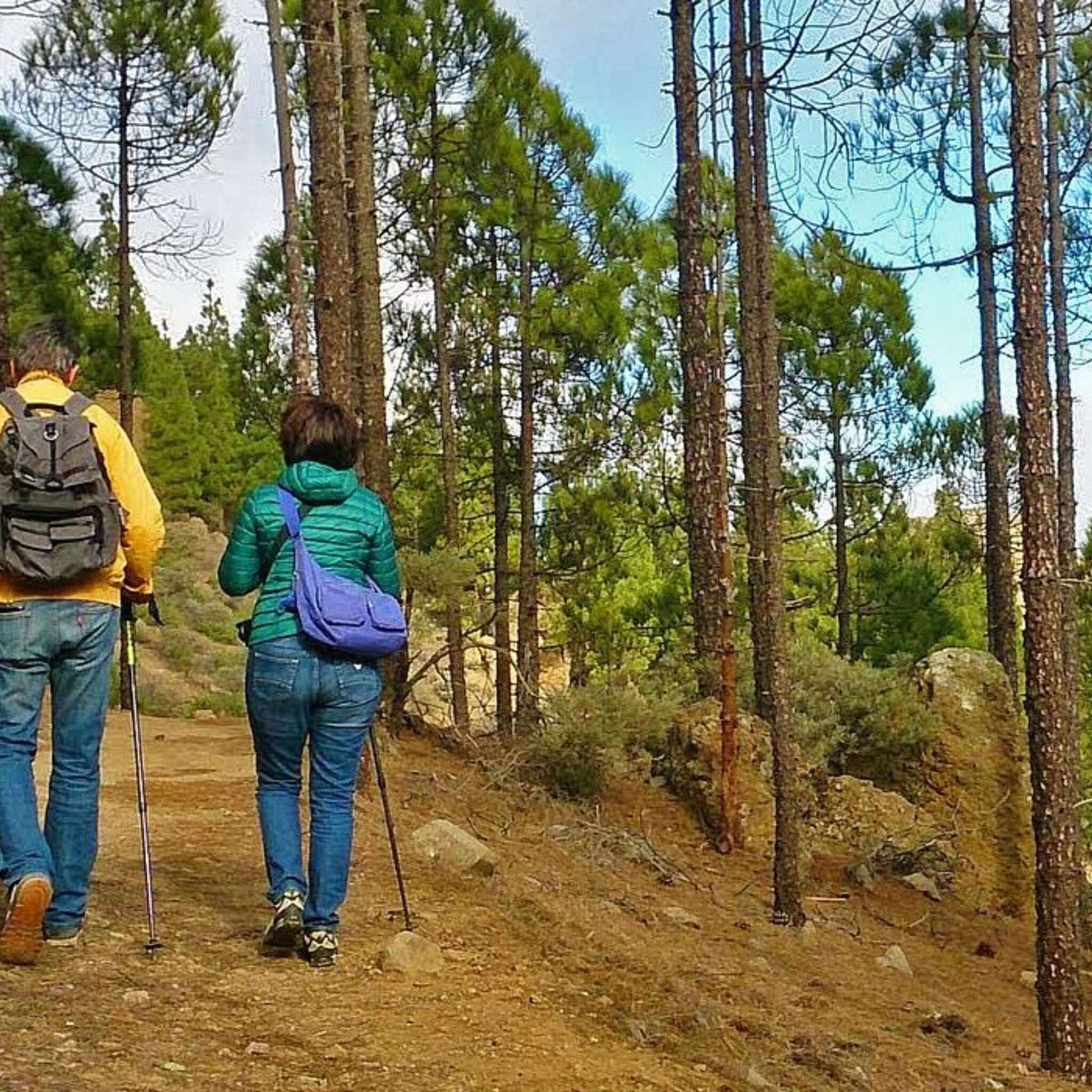 hiking gran canaria - los azulejps road 2