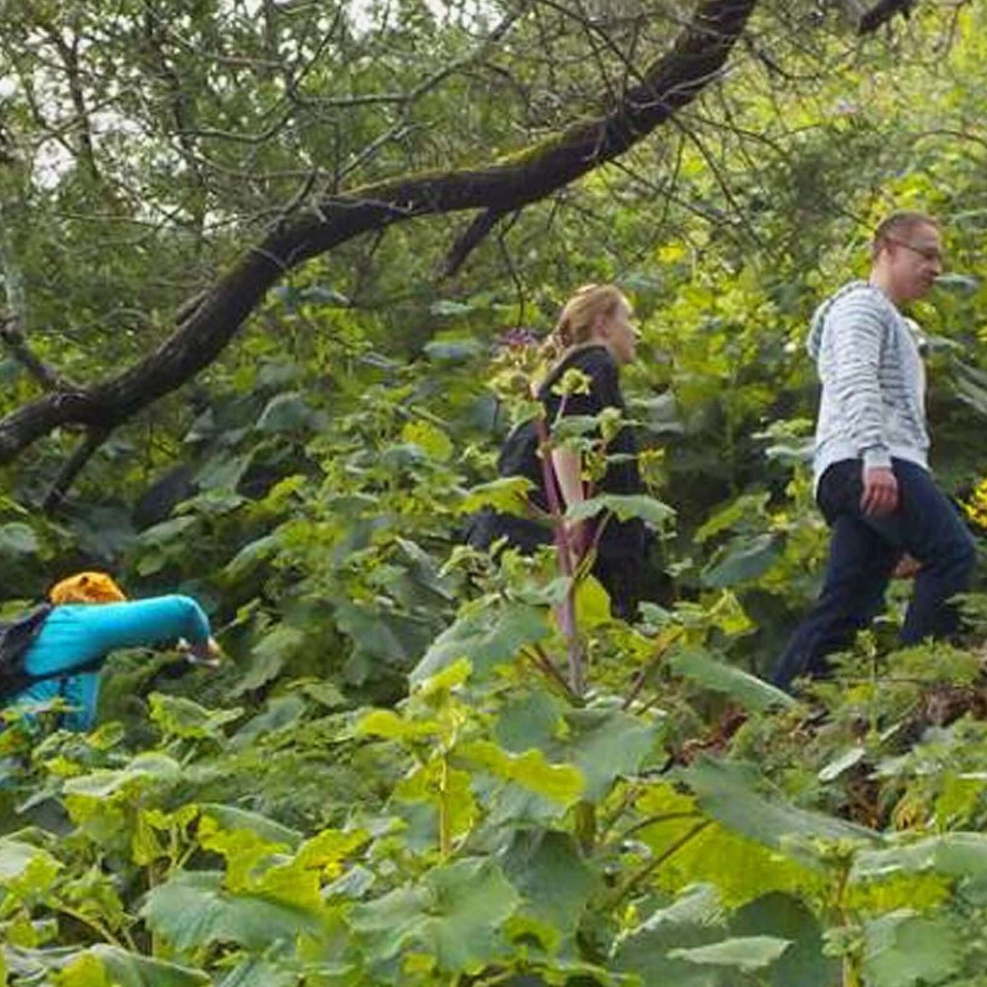 los azulejos road hiking