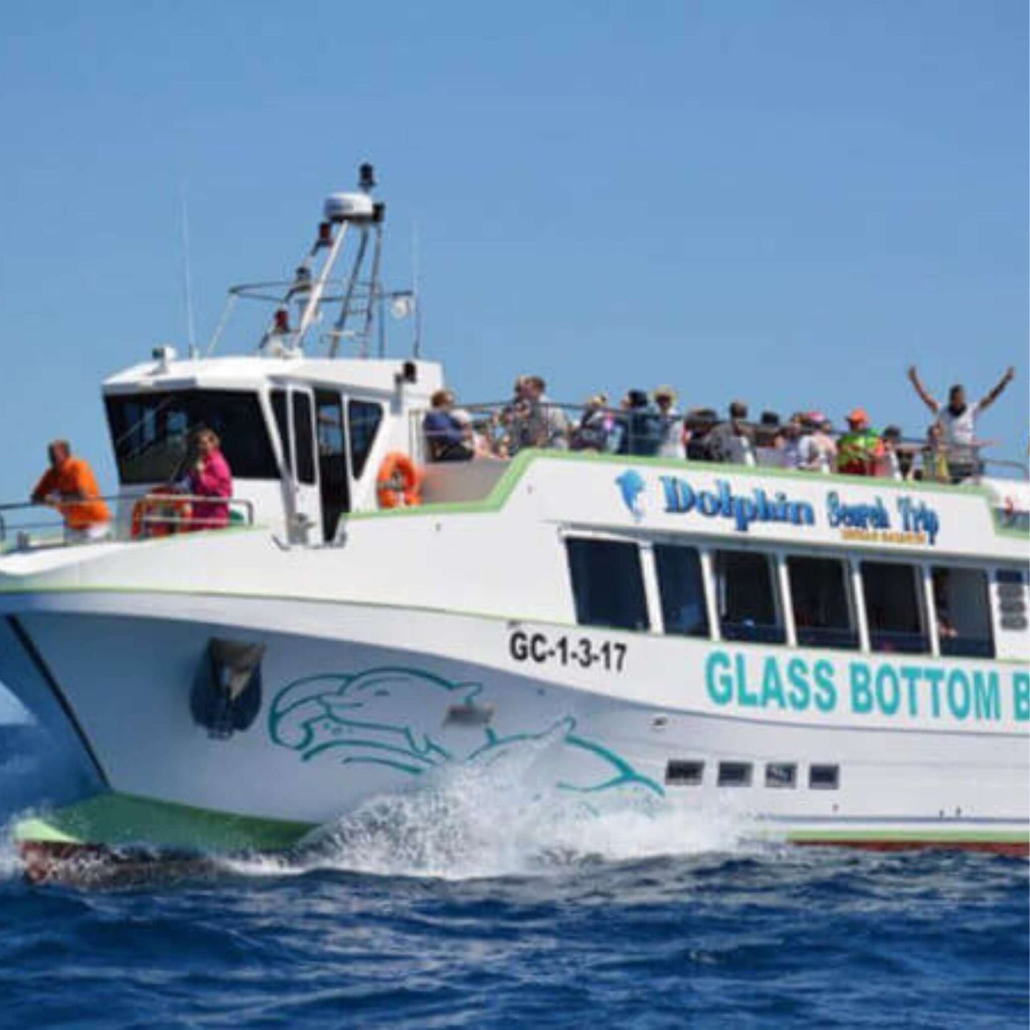 glass bottom dolphin and whale search - people on the boat