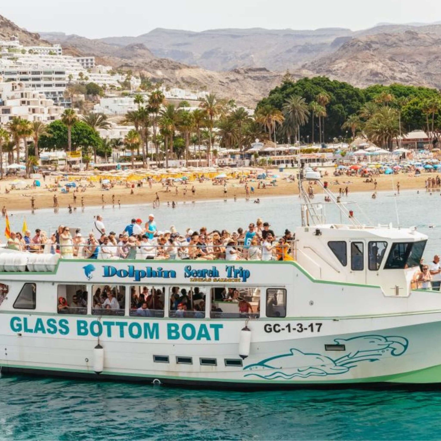 glass bottom dolphin and whale search - boat view