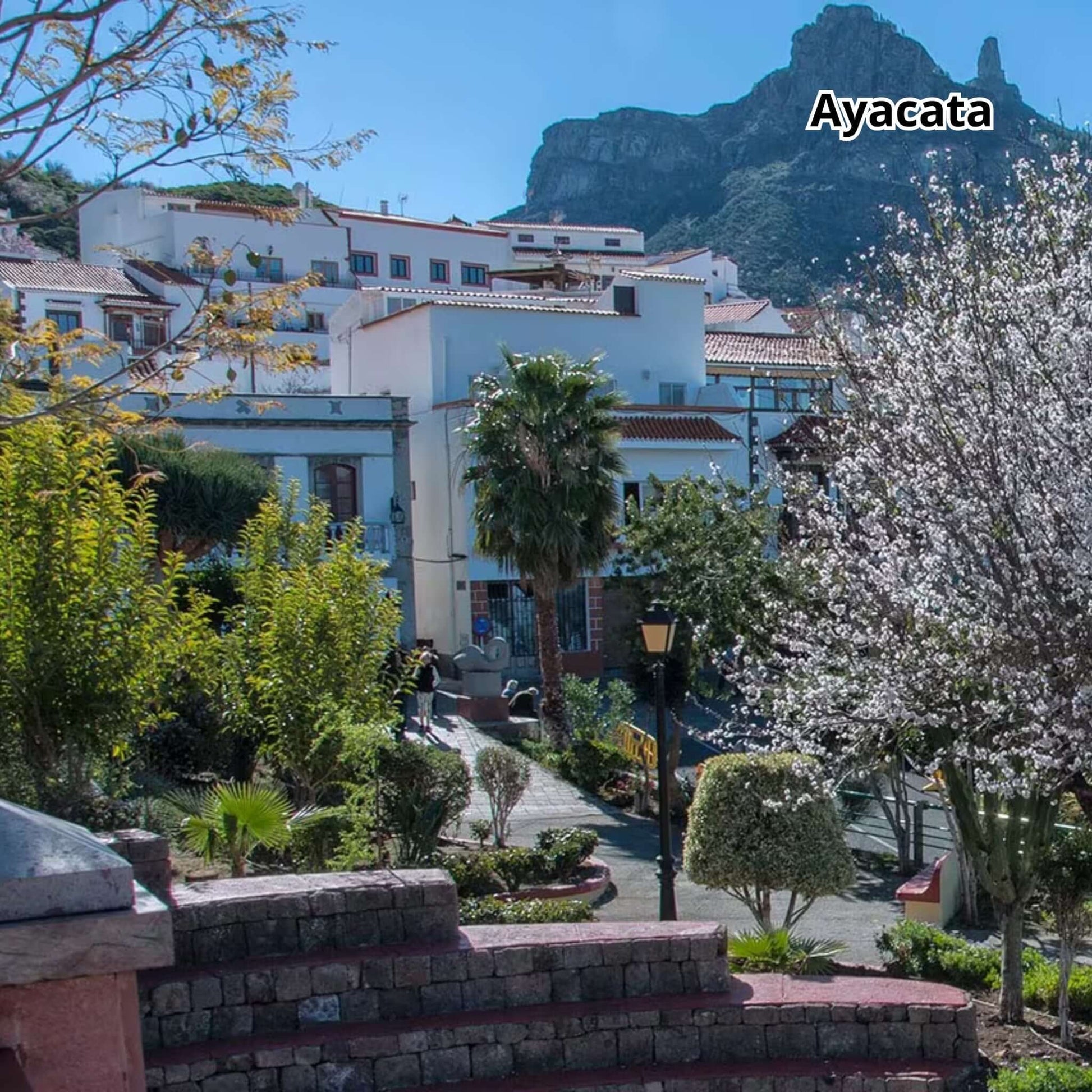 gran canaria bus tour - highlights - ayacata