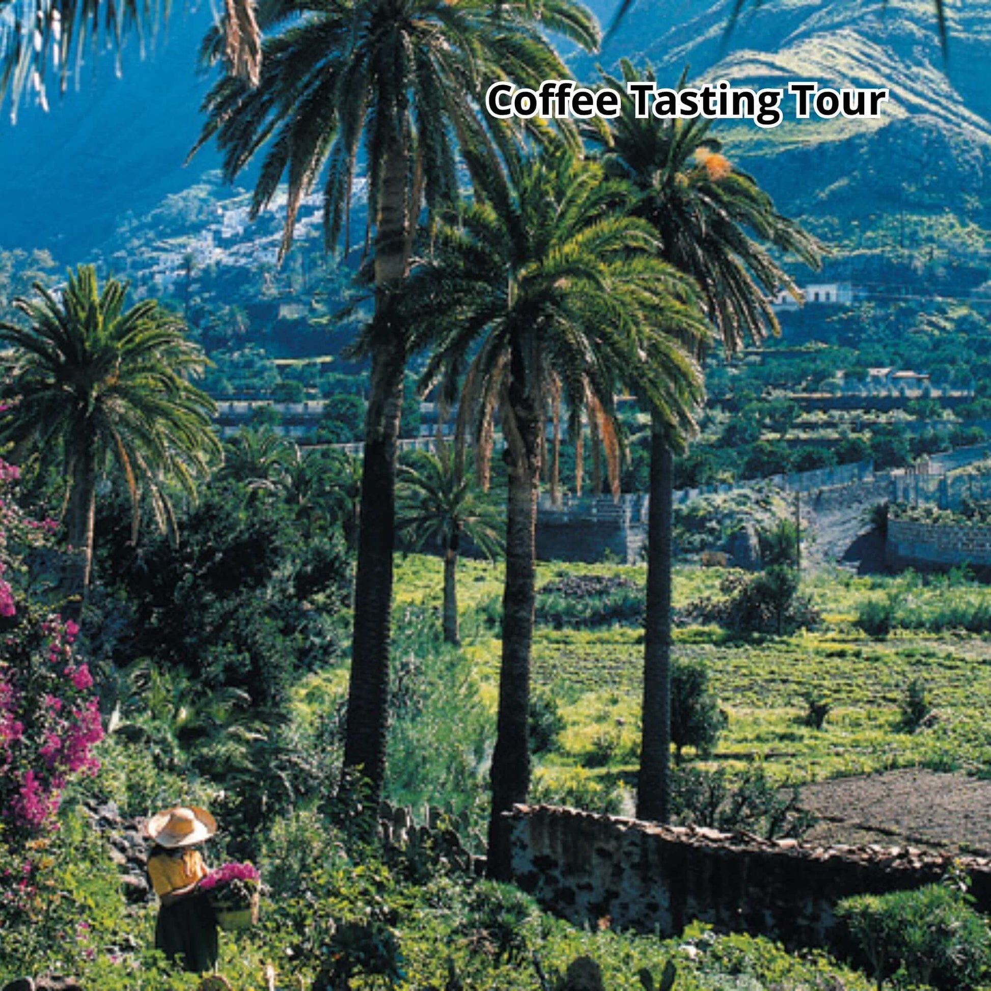 gran canaria bus tour - coffee tasting tour