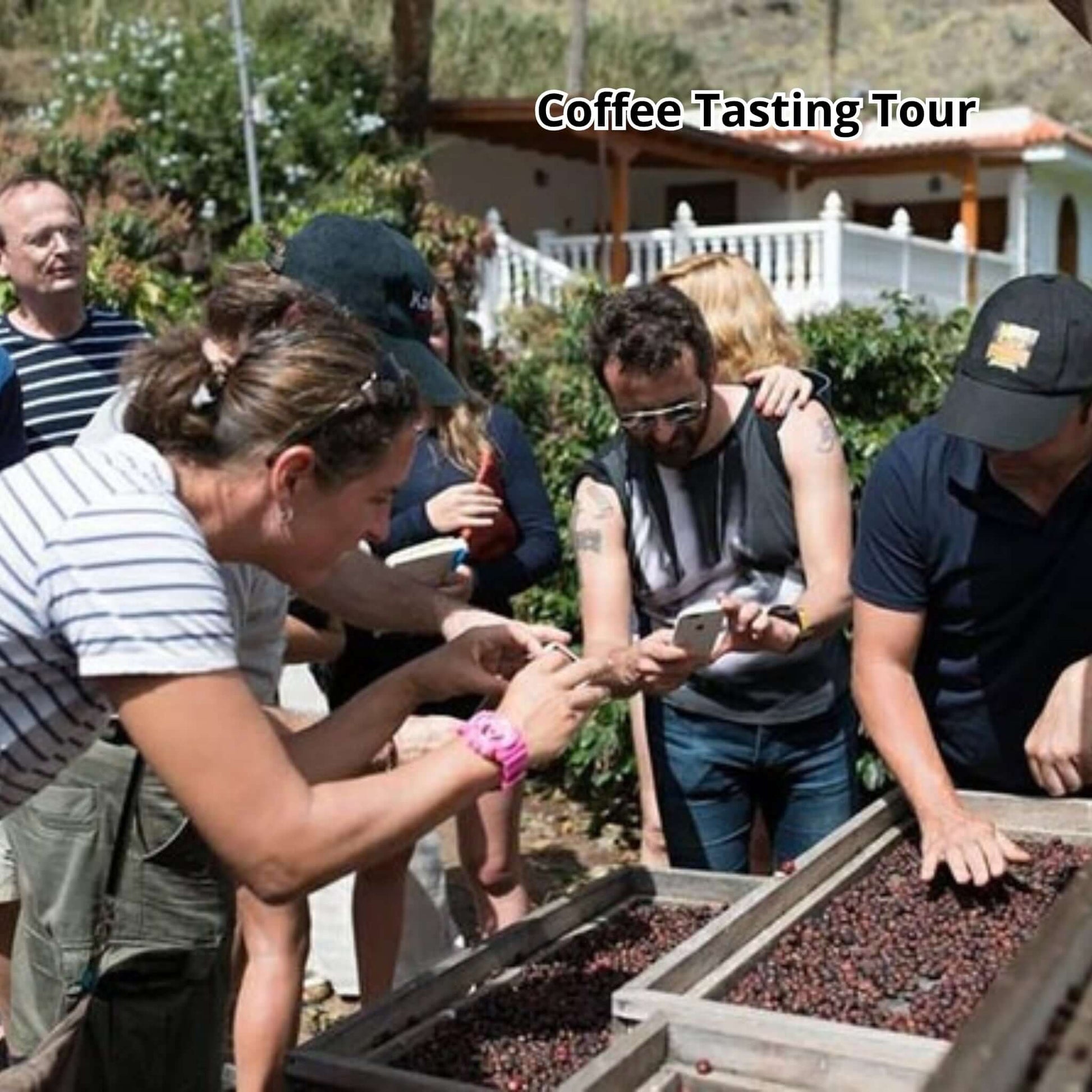 gran canaria bus tour -coffee plantation tour