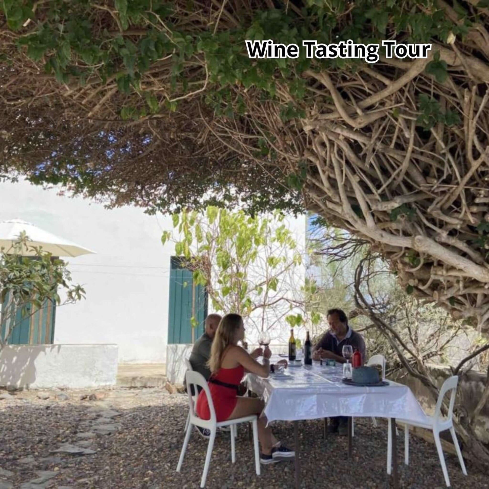 gran canaria bus tour - wine tasting tour