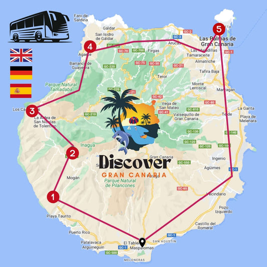bus tour gran canaria - big island tour