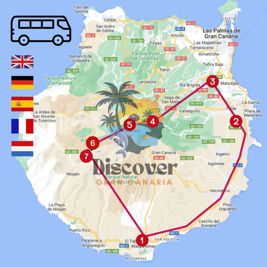 Highlights Tour of Gran Canaria