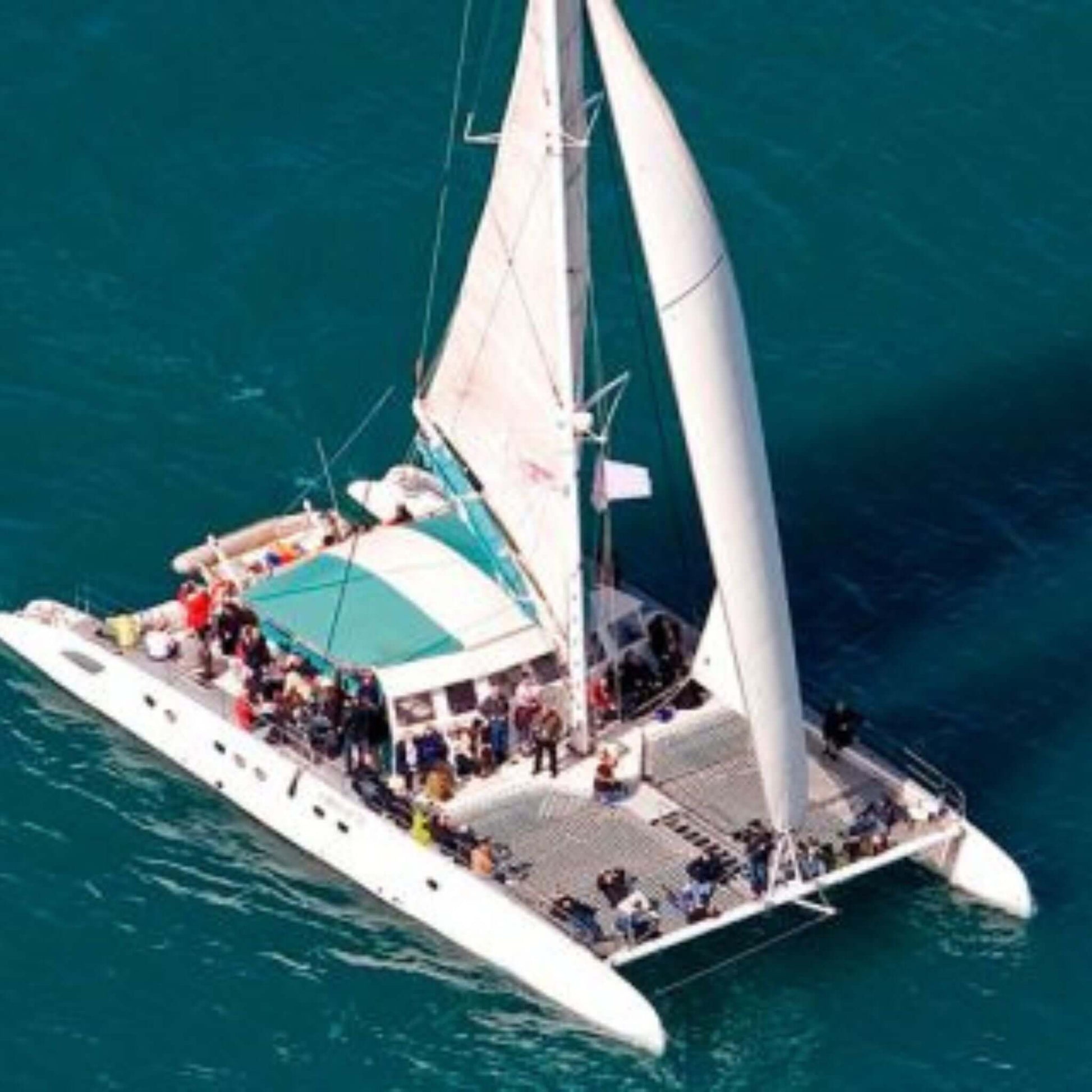 catamaran boat tour gran canaria