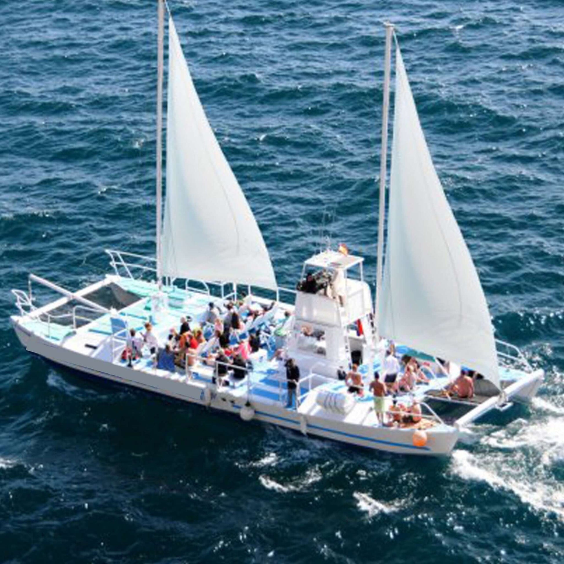 catamaran boat tour puerto rico