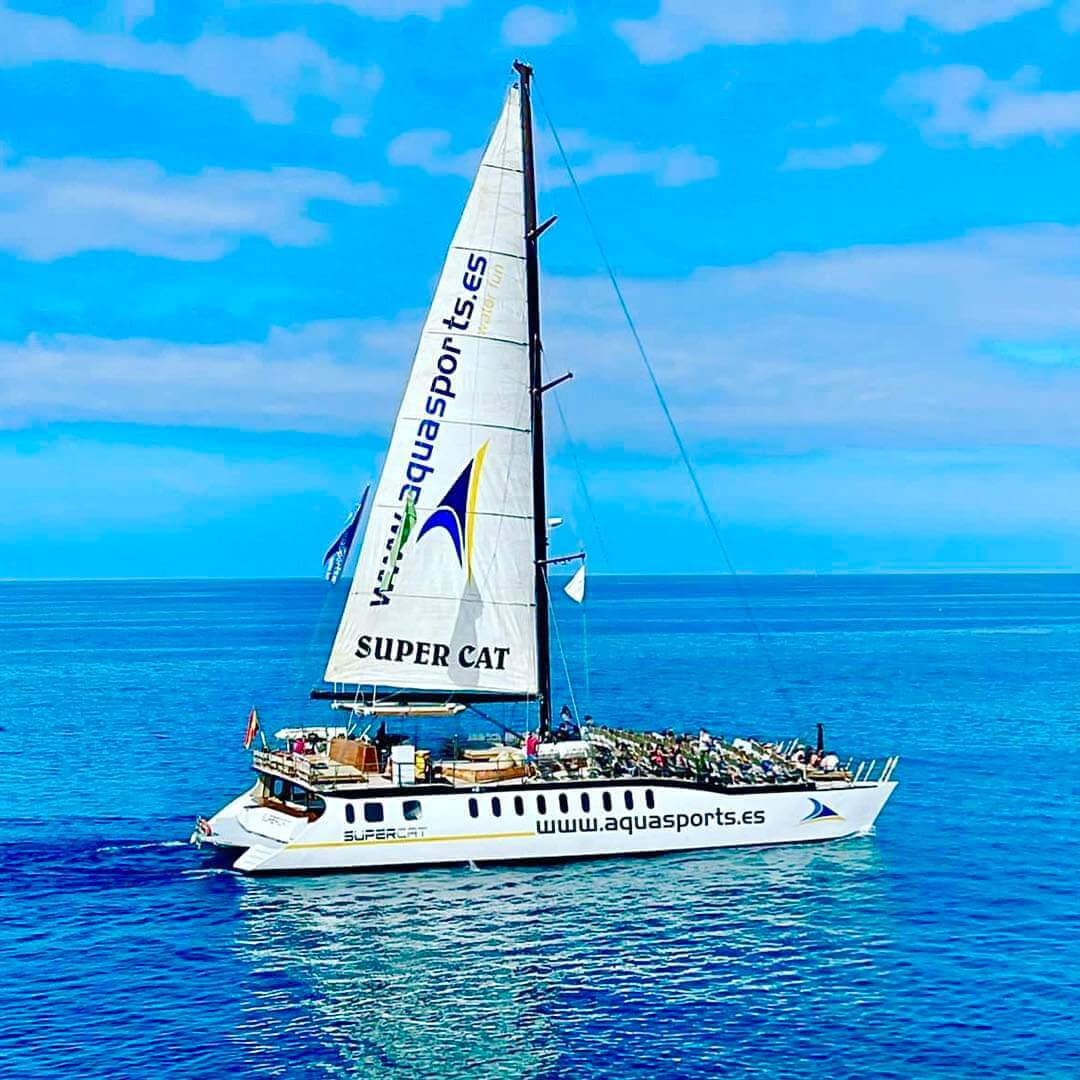 supercat - side view during the navigation