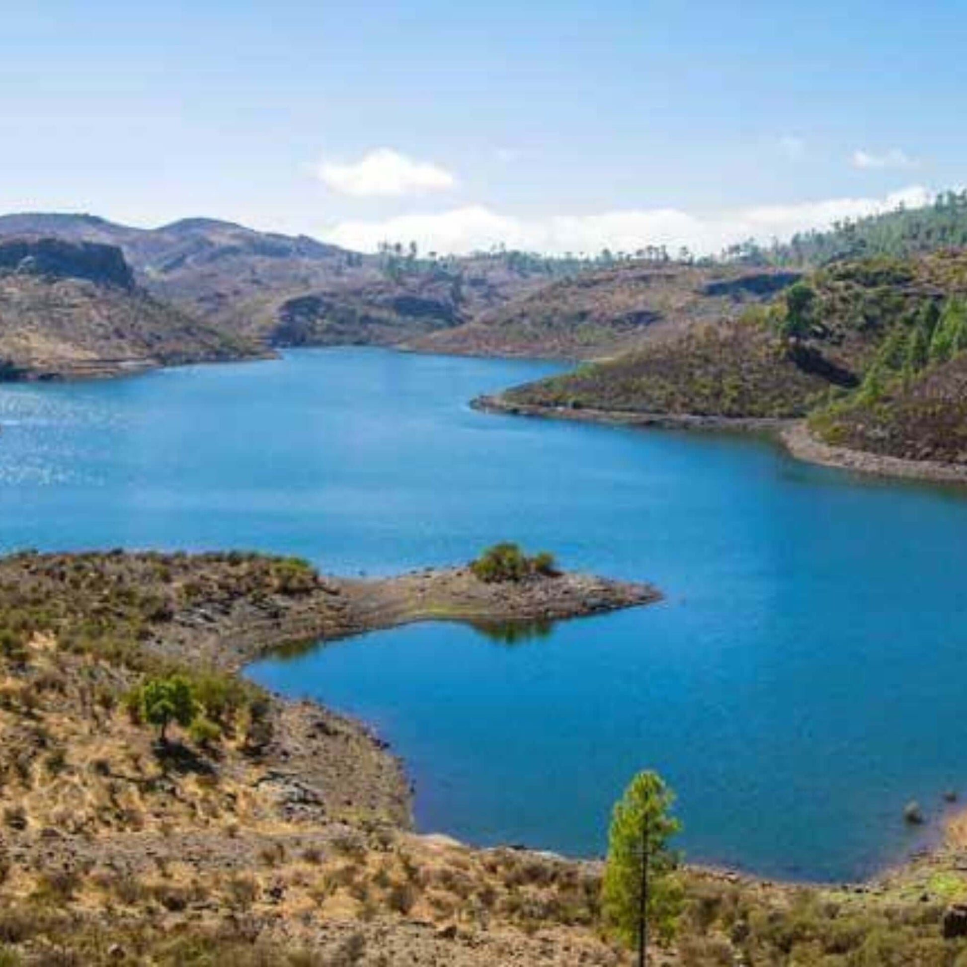 jeep safari gran canaria