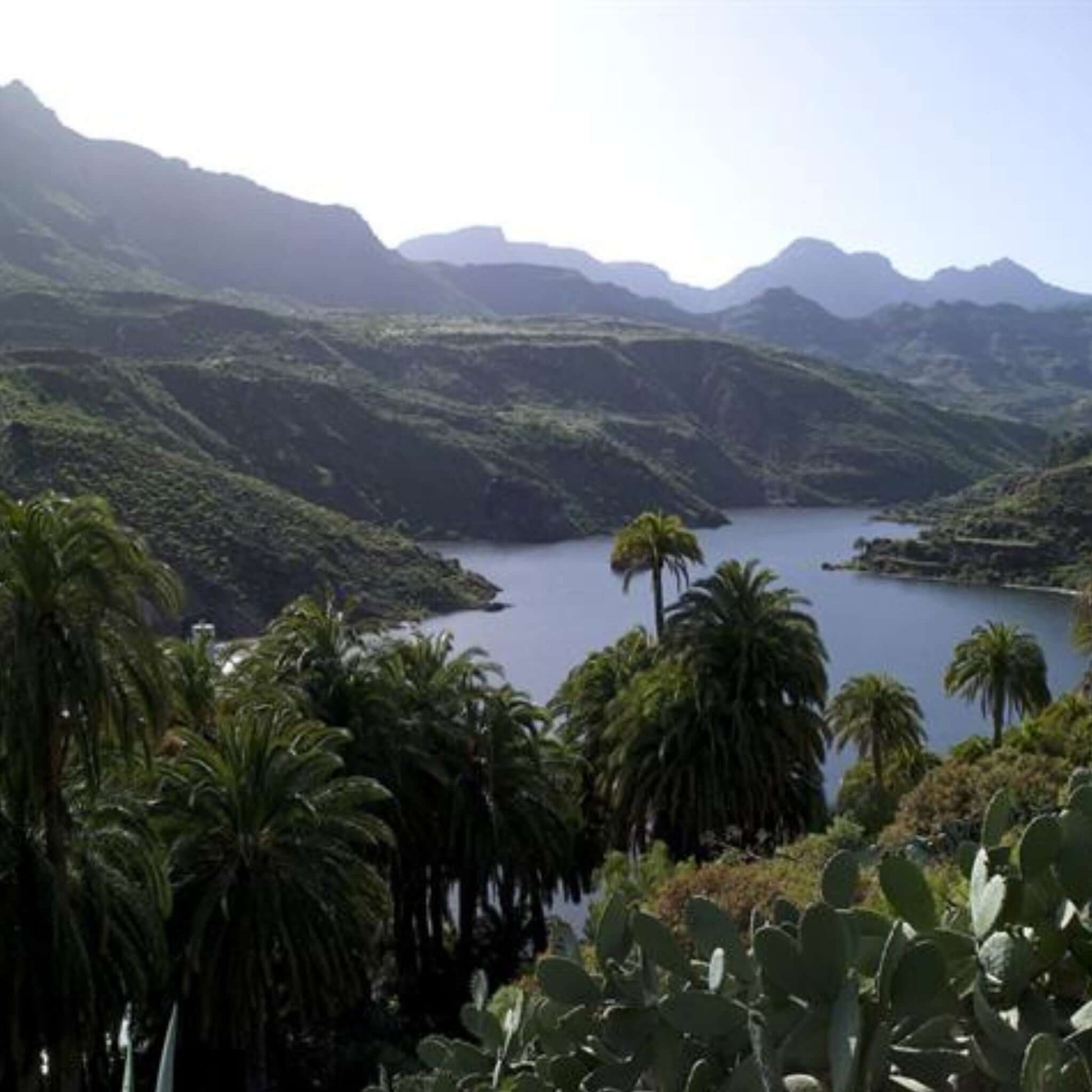 jeep safari gran canaria