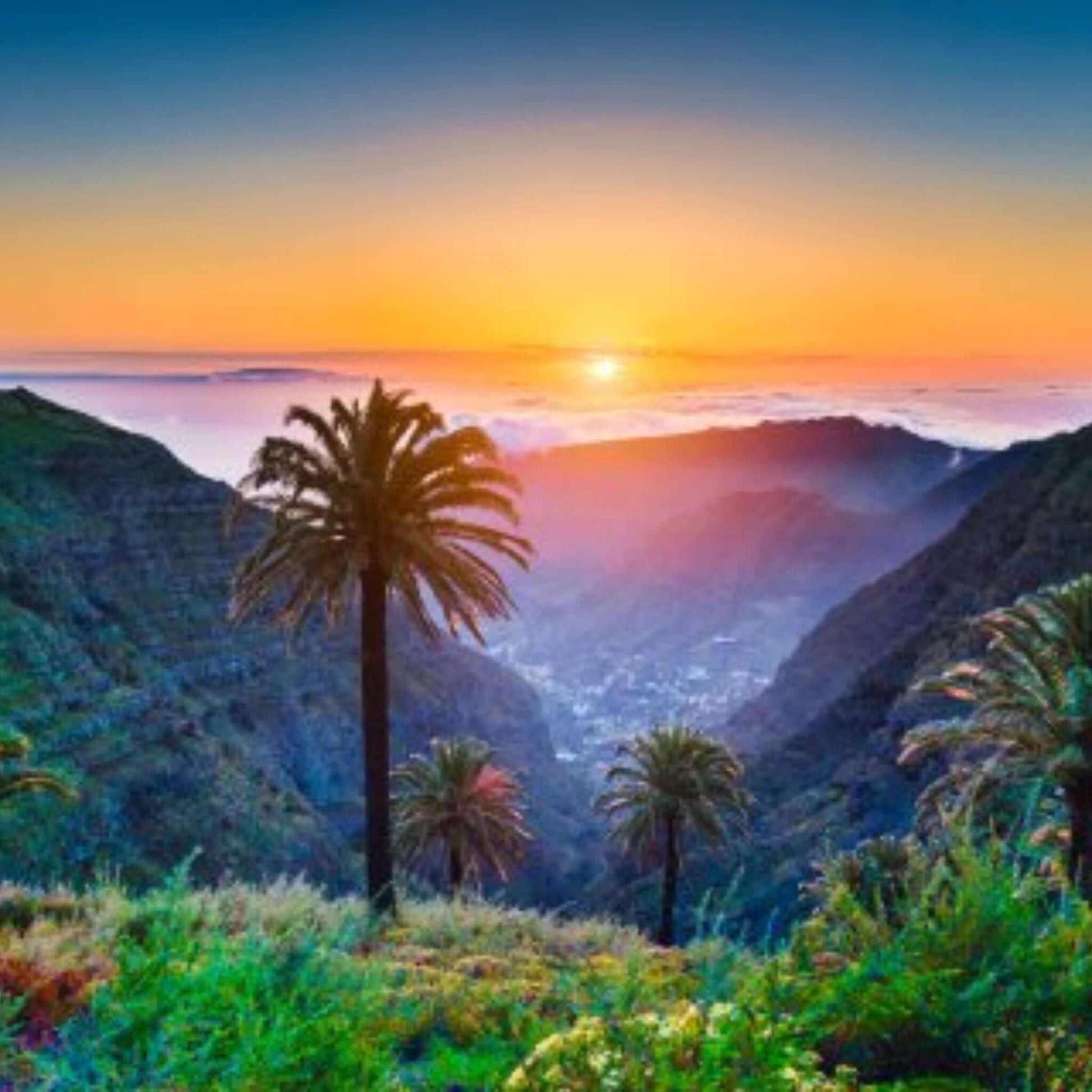 jeep safari gran canaria