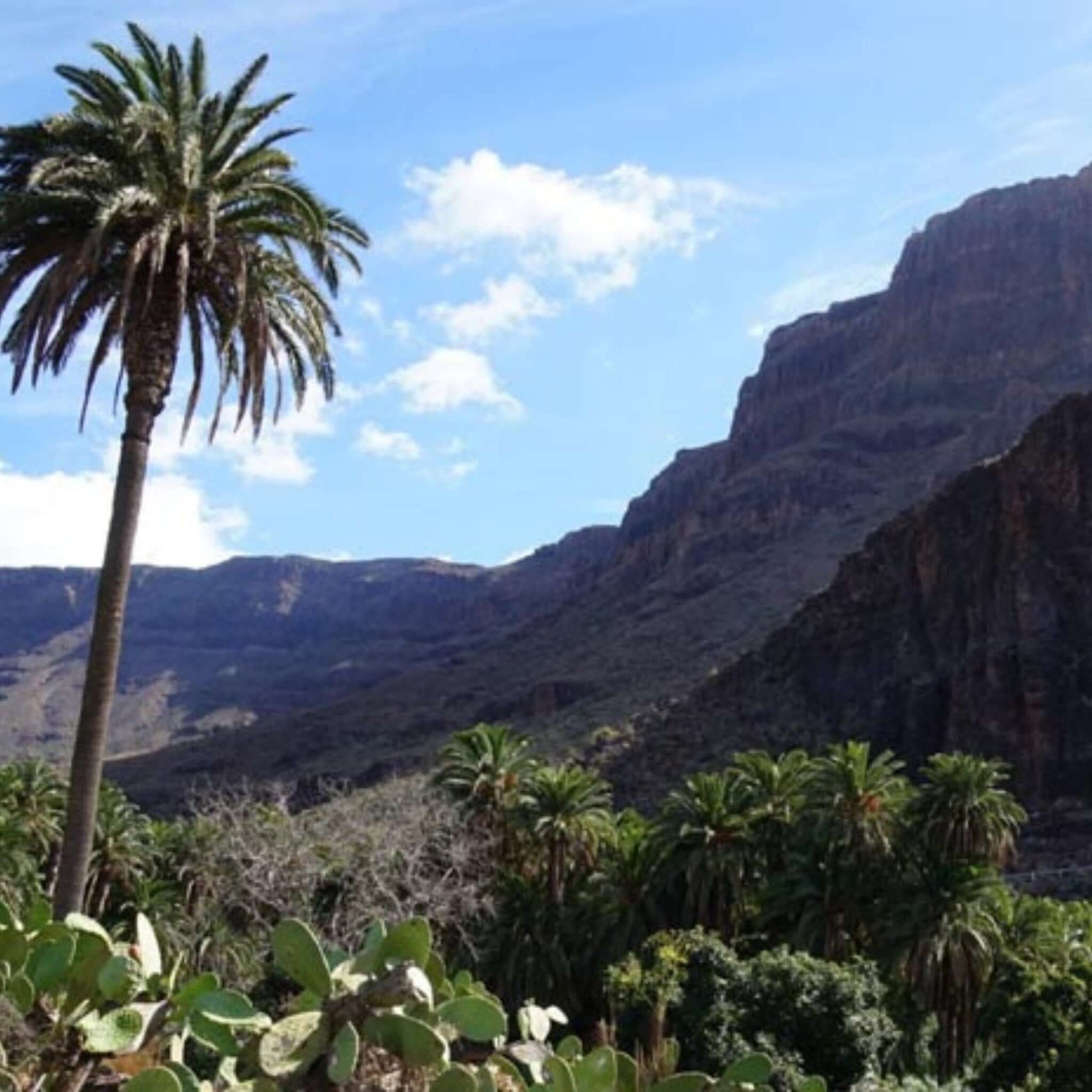 jeep safari gran canaria