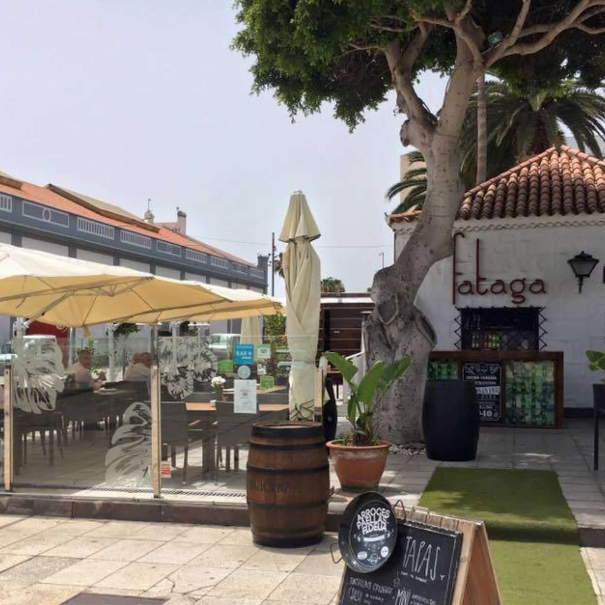 jeep safari gran canaria