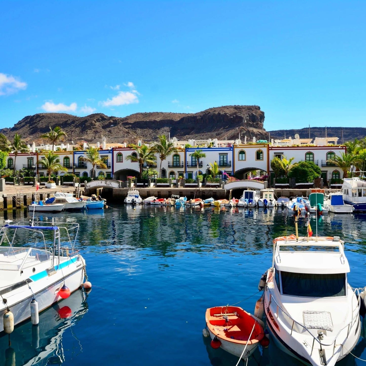 catamaran trip gran canaria