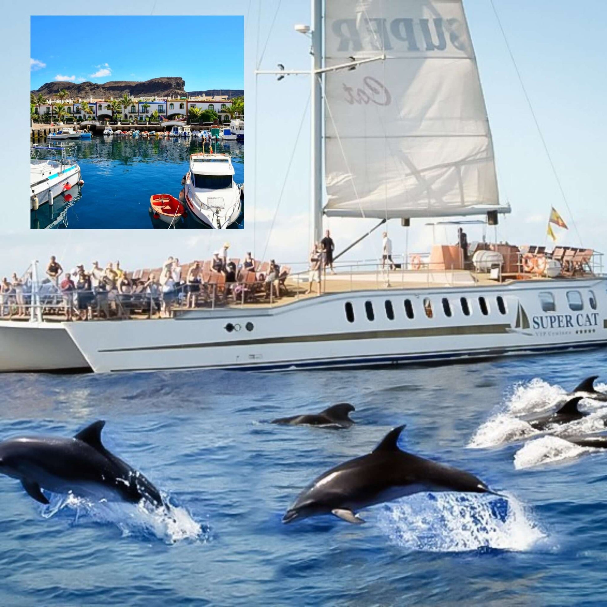 supercat - boat excursions gran canaria - mogan market preview