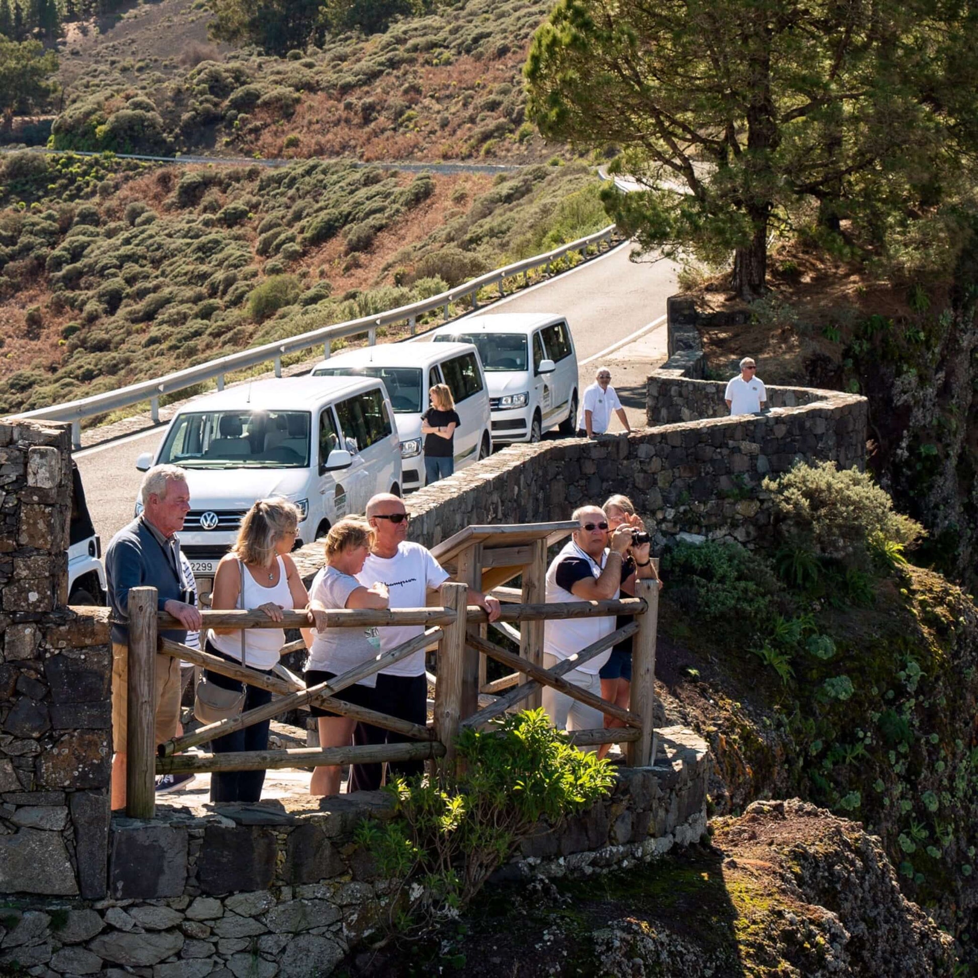 panorama vip tour gran canaria 2