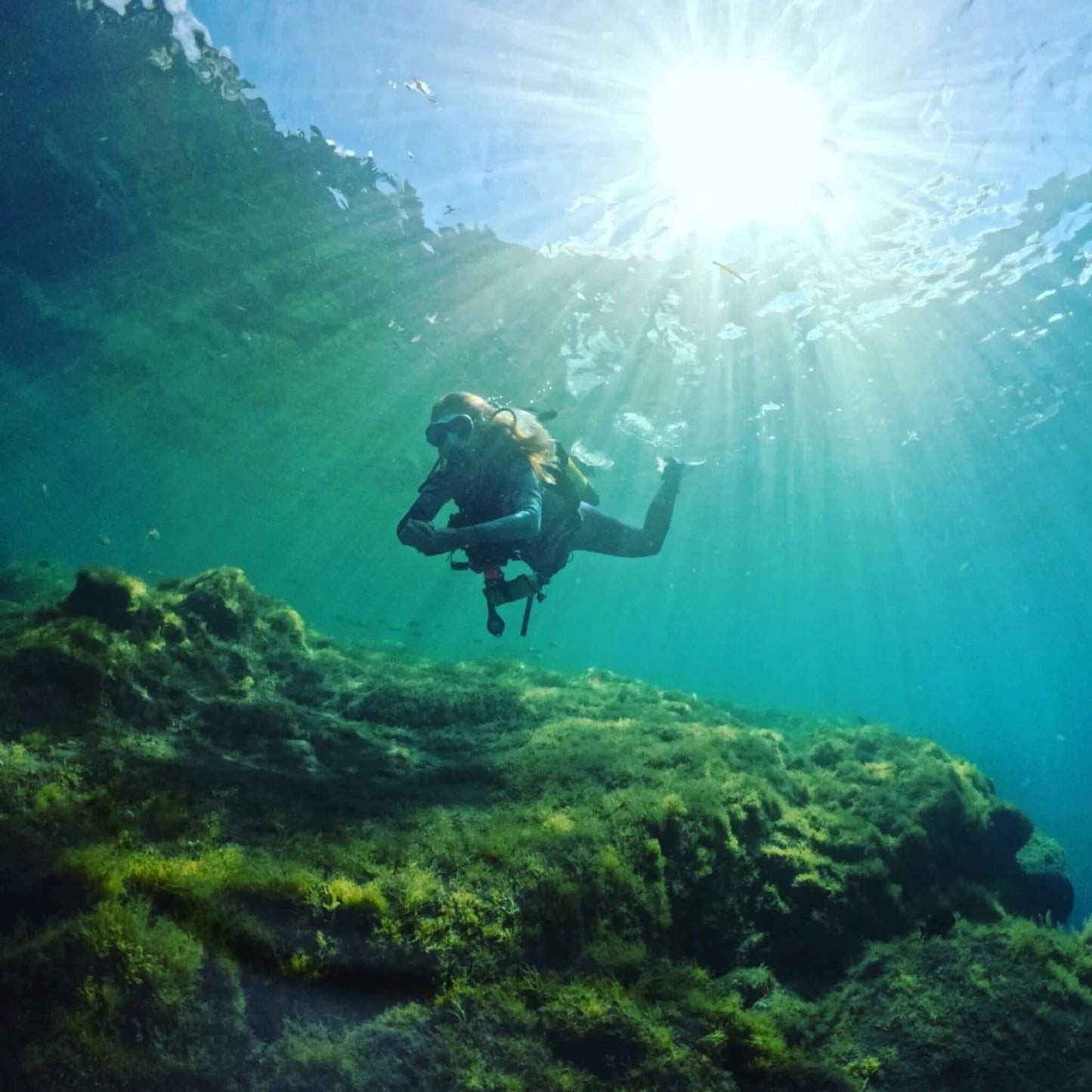 Diving - Try Dive