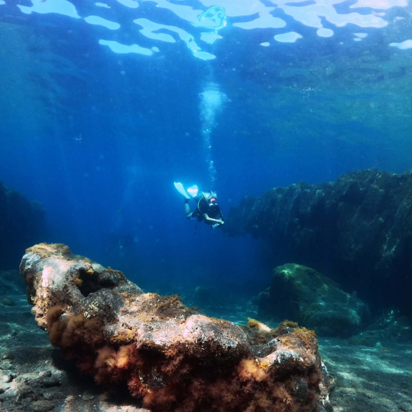 Diving - Try Dive