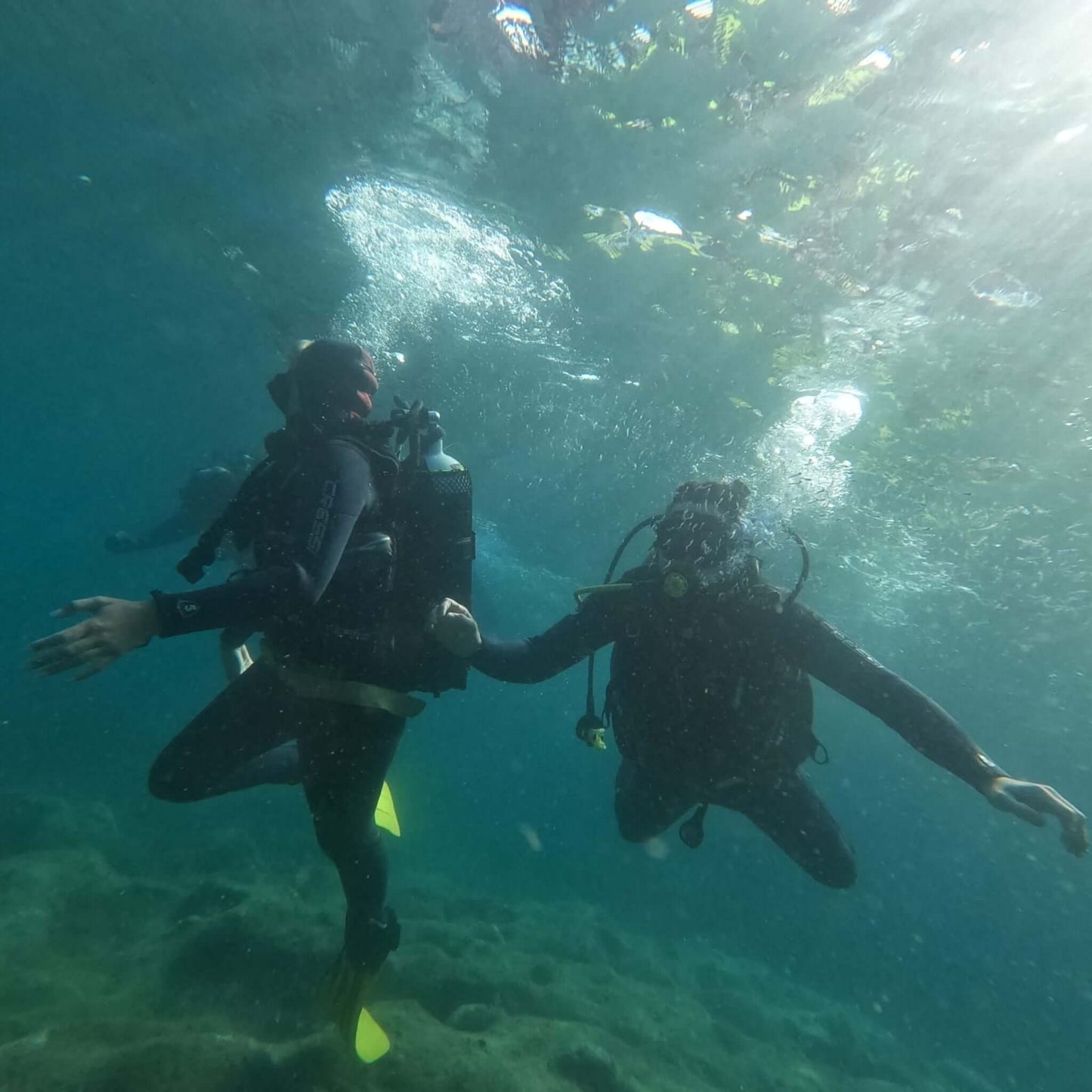 Diving - Try Dive