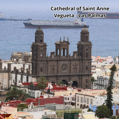Cathedral of Saint Anne in Vegueta, Las Palmas with ships in the background.