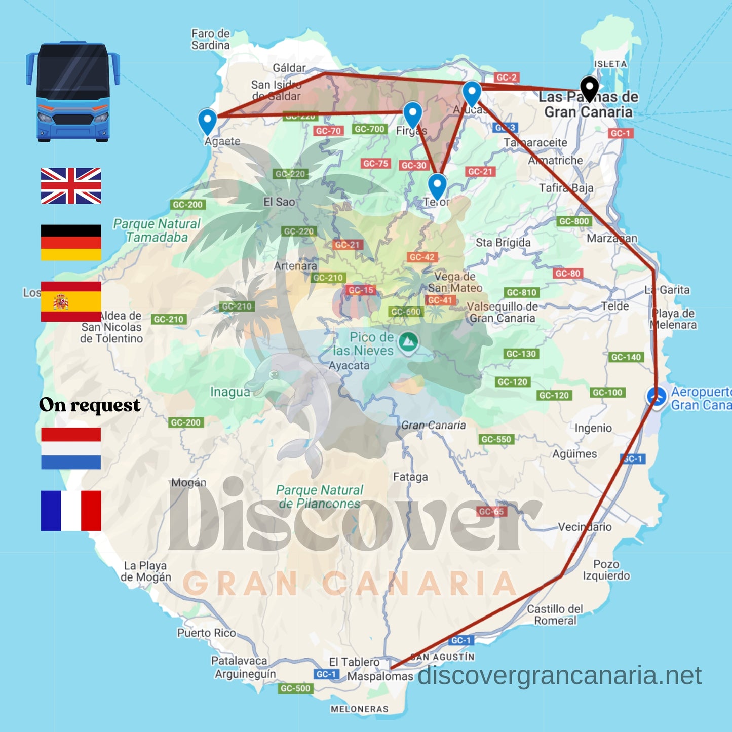 Northern Gran Canaria Highlights – Day Tour from Las Palmas & South