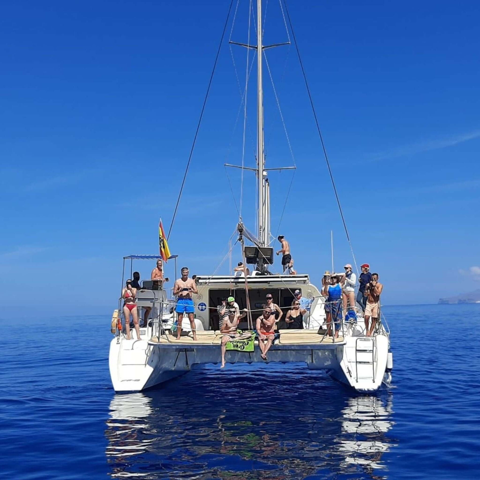 catamaran trips - back of the delfin playa catamaran 