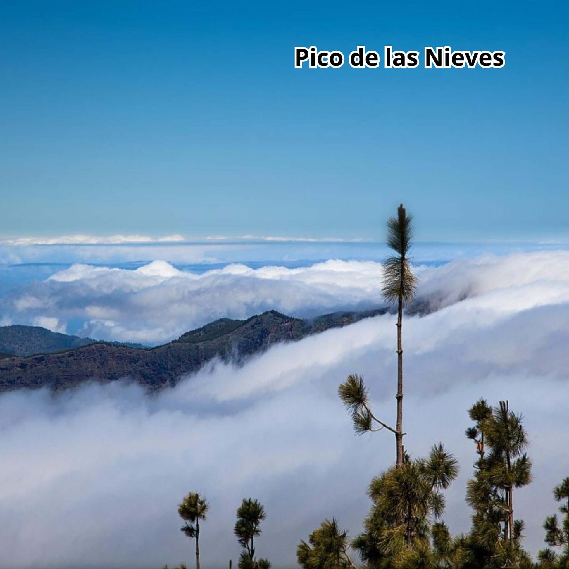 bus tour gran canaria - pico de las nieves