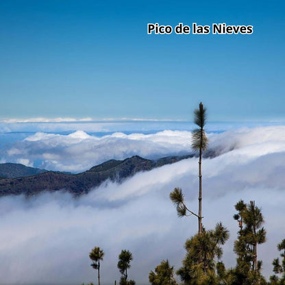 bus tour gran canaria - pico de las nieves