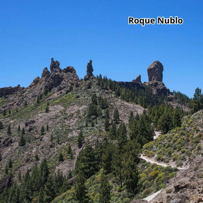  bus tour gran canaria -  roque nublo