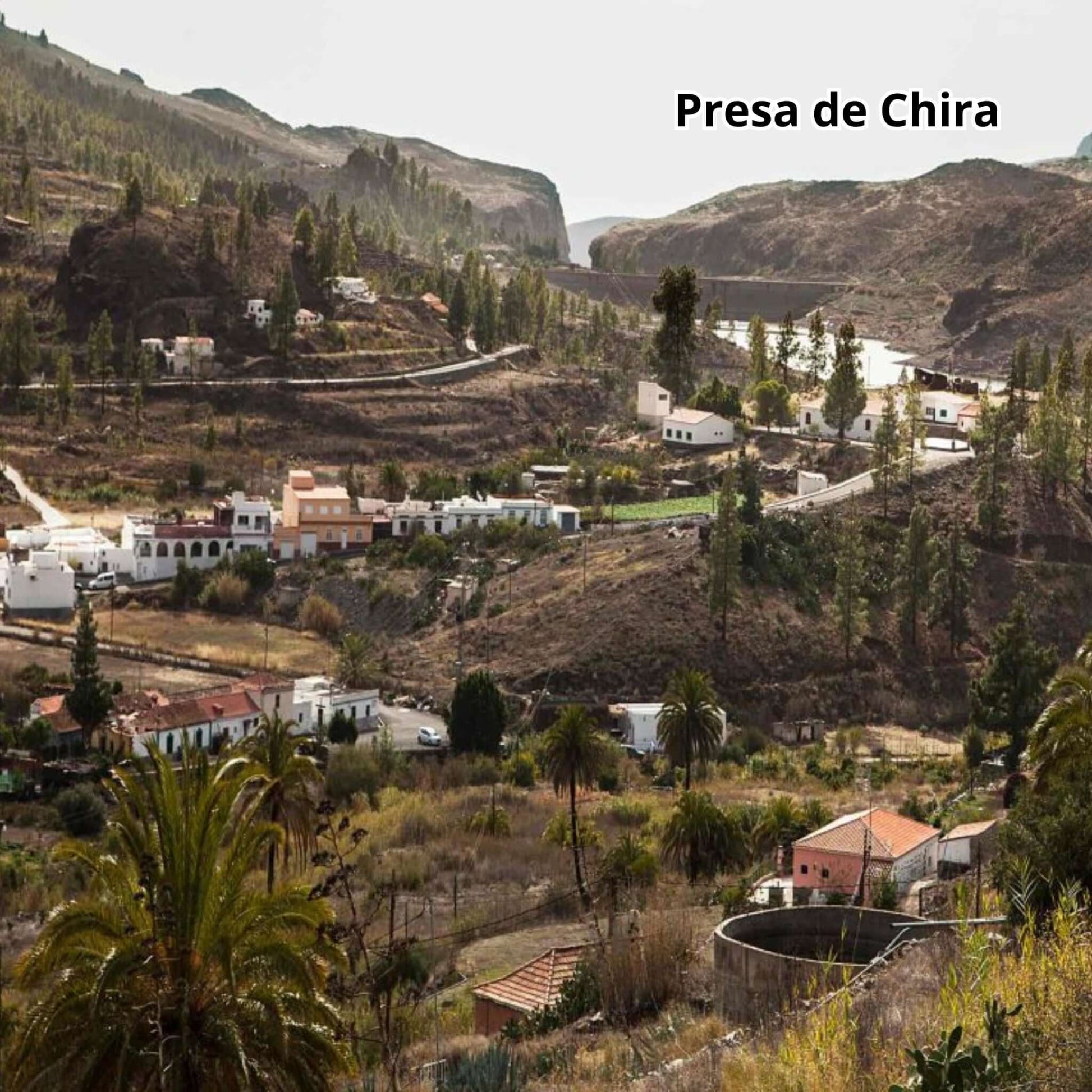  bus tour gran canaria - presa de chira