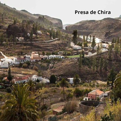  bus tour gran canaria - presa de chira